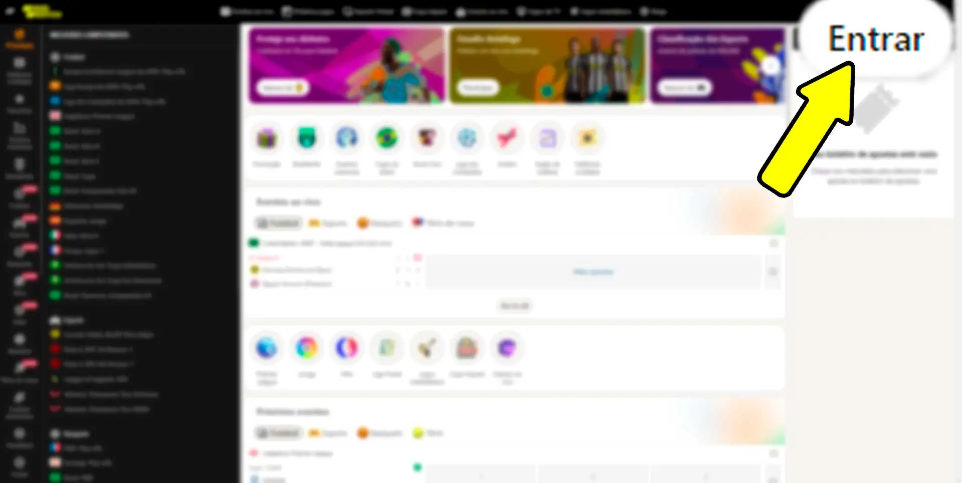 Fazer login em sua conta pessoal no site
